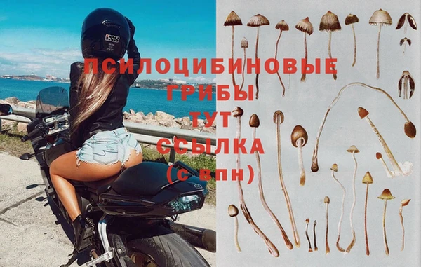 дживик Баксан