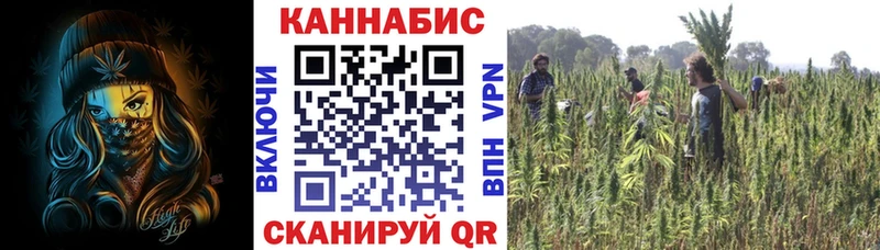 Каннабис THC 21% Белый